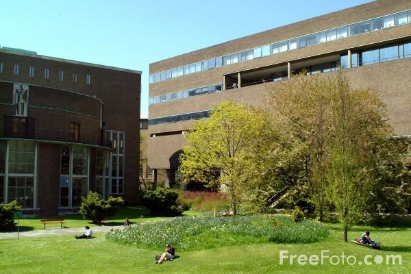 Trường Đại học quốc tế Newcastle, Anh Quốc