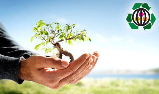 Tiếng anh với từ vựng về môi trường