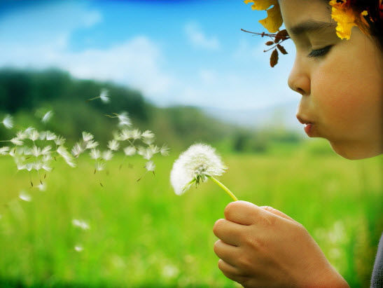 Học ngành công nghiệp sáng tạo ở Westminster