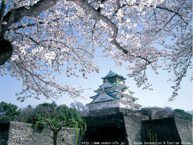 Du học Nhật Bản, tài trợ vé máy bay 100%