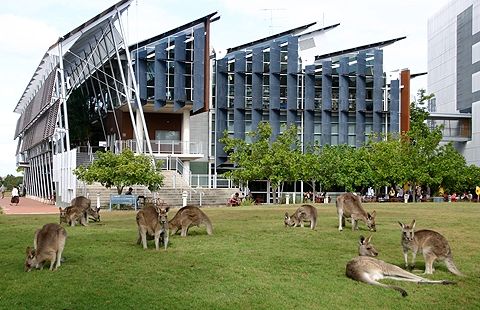 Trường Đại học Sunshine Coast, Australia