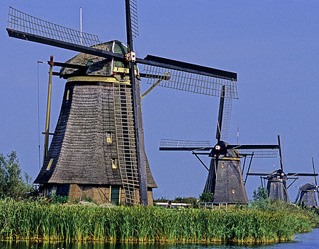 Mùa du học Hà Lan