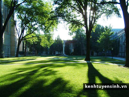 Viện Đại học Princeton